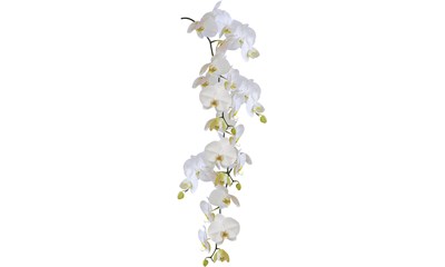 Static Deco Element Orchid