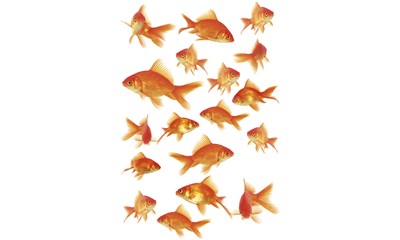 Static Deco Element Fish