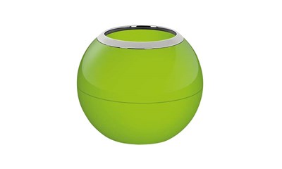 Bowl-Shiny Kiwi