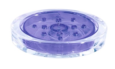 Sydney clear purple