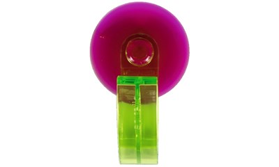 Kiwi/Fuchsia