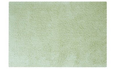 BEL CELERY            (ELEMENTS) 55X65