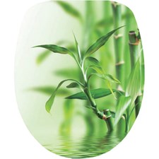 Dresden Bamboo