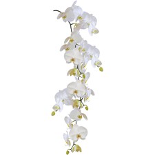 Static Deco Element Orchid