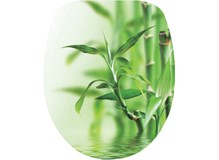 Dresden Bamboo