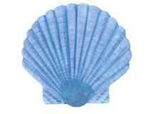 Maritim Blue Muschel und Seestern